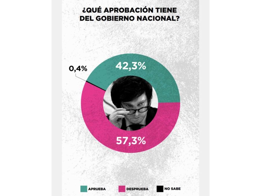 Encuesta: la imagen de Javier Milei sigue cayendo y el 57,4% reprueba a ...