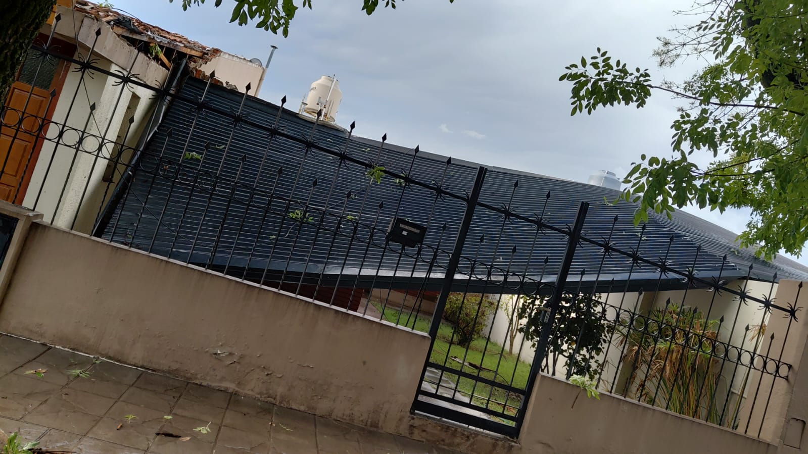 Árboles caídos