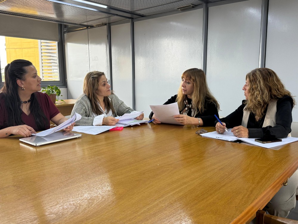 Comisión Investigadora del caso del bebé de Rancul
