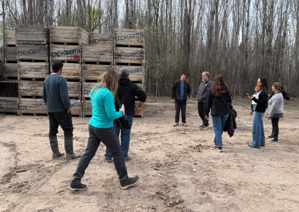 Evaluación de un sitio productivo libre de Mosca de los Frutos en La Pampa