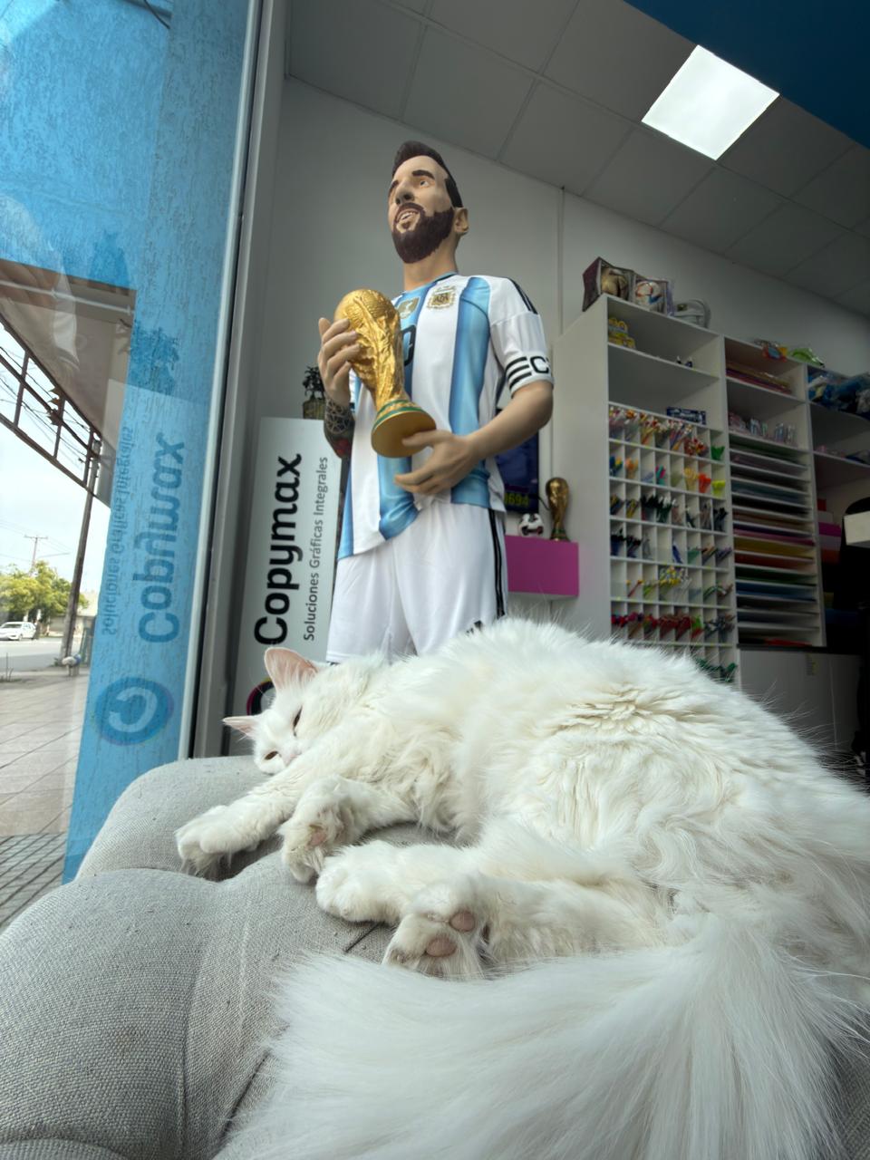 La figura de Messi en el local